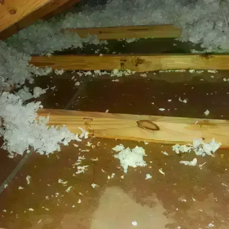 Attic Water Damage in Cascade Valley, WA