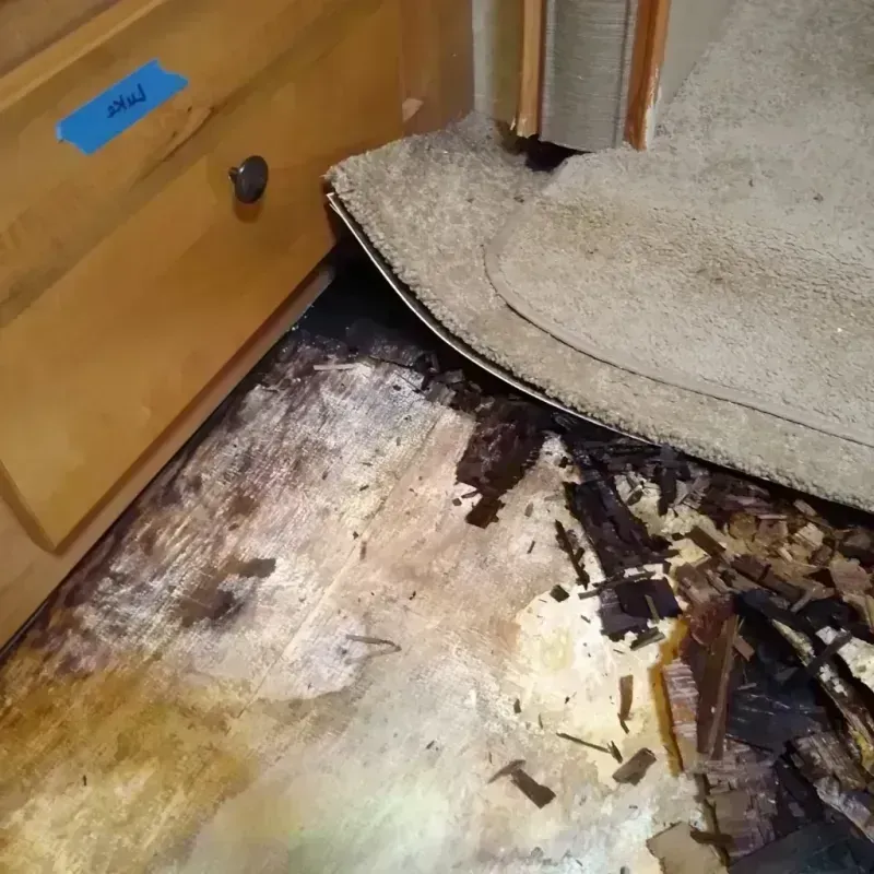 Wood Floor Water Damage in Cascade Valley, WA